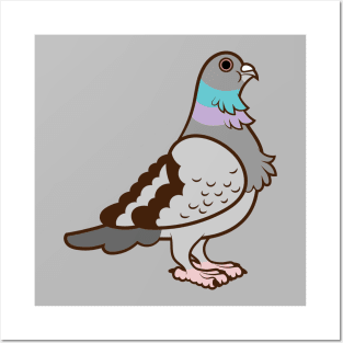 A Pigeon Posters and Art